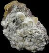 Yellow, Cubic Fluorite Cluster - Cave-in-Rock, Illinois #38993-5